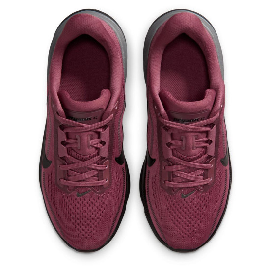 Nike Pegasus 42 (GS)